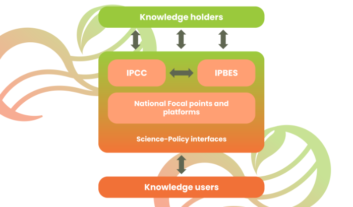 REinforcing-Science-Policy-INterfaces-for-integrated-biodiversity-and-climate-knowledge-and-policies-7