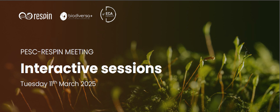 Tuesday 11th March 2025 - Afternoon