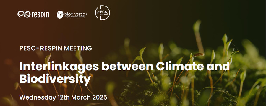 Wednesday 12th March 2025